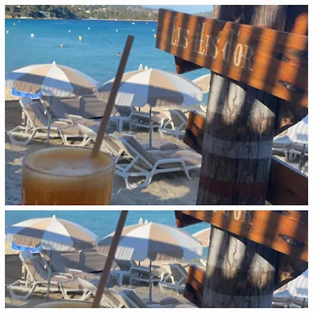 Apartment A Pied ! 150m Du Lavandou T3 Piscine