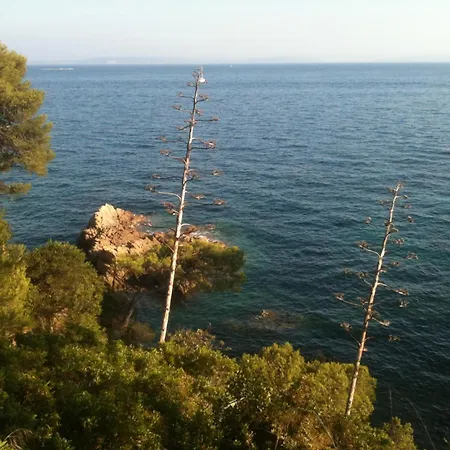 A Pied ! 150m Du Lavandou T3 Piscine
