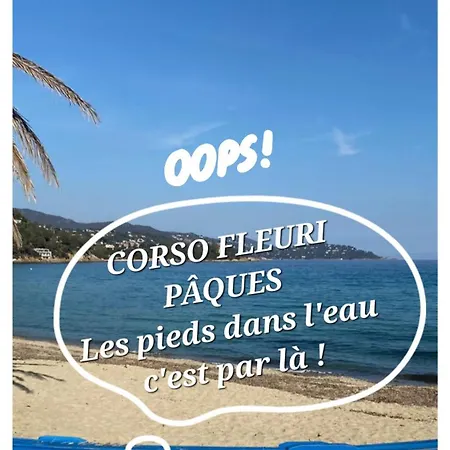 A Pied ! 150m Du Lavandou T3 Piscine Apartment *